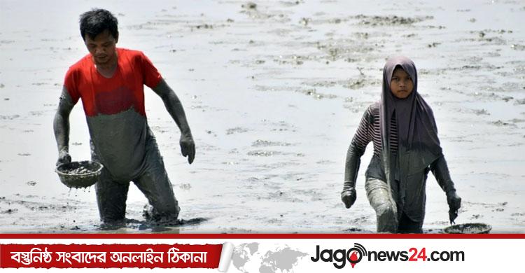 শামুক ধরার উৎসবে মুখর মালয়েশিয়ার পান্তাই ক্লেবাং সৈকত