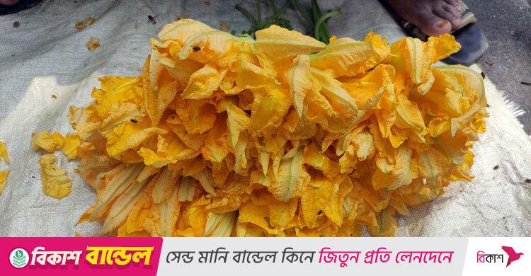 মাগুরায় কুমড়ো ফুুল বিক্রি করে বাড়তি আয়
