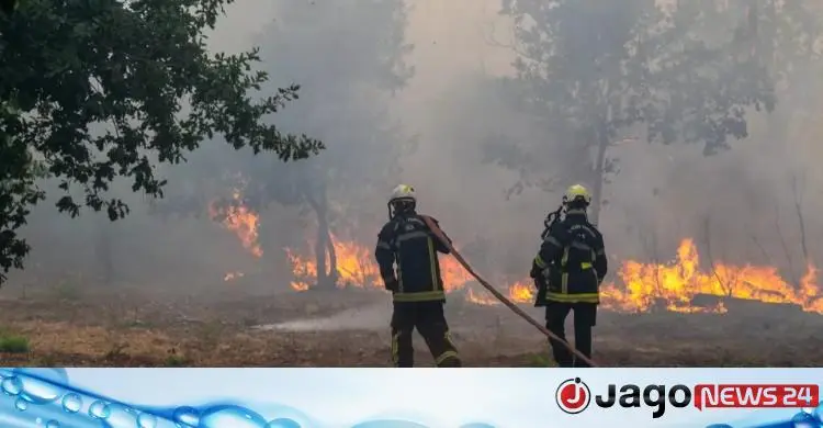 দাবানলে পুড়ছে ফ্রান্স-স্পেন, ঘরছাড়া ৩ লাখের বেশি মানুষ