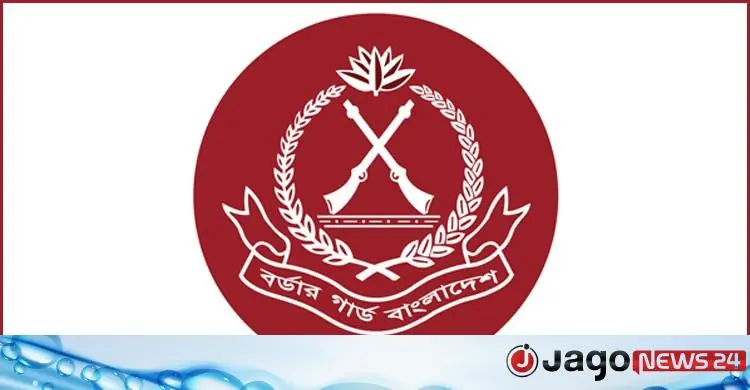 অসামরিক পদে বিজিবিতে যোগ দিন, অষ্টম শ্রেণি পাসেই আবেদন