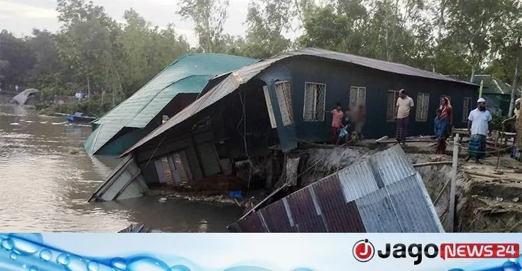 যমুনার ভাঙনে বিলীন স্কুলসহ ২০ বসতবাড়ি