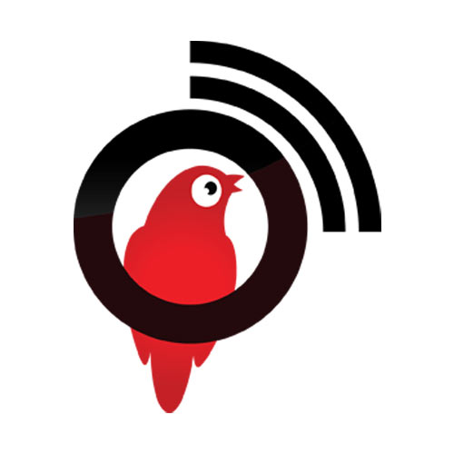 এস ইসলাম